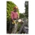 imgi_18_50137.webp
