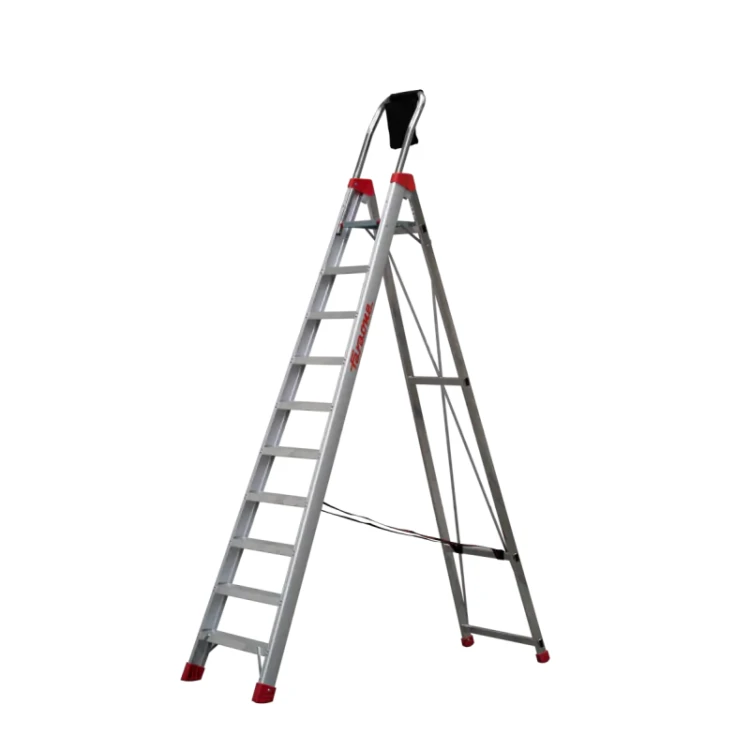 lady10,1.webp