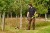 imgi_29_RY36LT38A-0--App_4.jpg