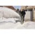 imgi_21_RY36STX61A-260F--App_2.jpg