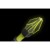 imgi_20_RARXSD45--App_2.jpg