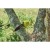 imgi_23_OPP1820PT1845-0--App_4.jpg