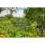 imgi_54_pol_pl_Teleskopowe-nozyce-do-zywoplotu-Ryobi-RY18PHT40A-0-50711_4.webp