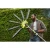 imgi_56_pol_pl_Teleskopowe-nozyce-do-zywoplotu-Ryobi-RY18PHT40A-0-50711_6.webp