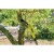 imgi_93_RY18PP20A-0--App_5.jpg
