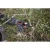 106759-4.webp