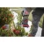 106760-3.webp