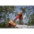 106762-12.webp