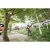 106920-9.webp