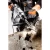 107065-2.webp