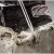 107085-16.webp