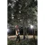 107715-11.webp
