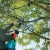 107716-15.webp