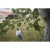 110249-5.webp