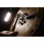 110262-2.webp