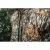 104609-11.webp