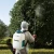 110461-21.webp