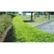 110526-1.webp