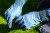 97-643-9__BNE_TAK_K03cdesw.jpg