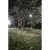 110584-10.webp