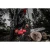 110655-18.webp