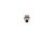 imgi_4_98aa0f924659cafd0d8511b59b1cc284-1024x683.webp