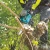 31158-9.webp