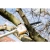 0172700D_06_website.2f4a9412.webp