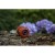 imgi_16_2021.jpg