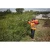 111107-3.webp