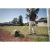 111110-5.webp