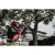 111115-4.webp