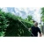 76965-3.webp