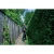 76965-4.webp