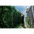 76965-5.webp