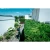 76965-6.webp