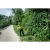 76965-7.webp