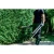 76965-11.webp