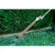 76965-12.webp