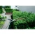 76965-13.webp