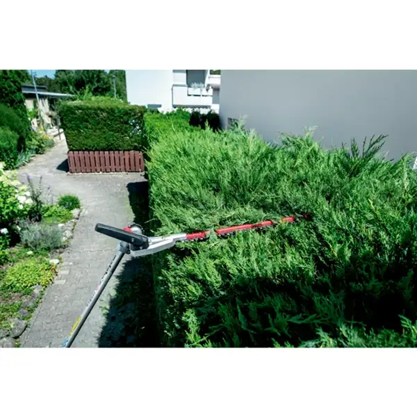 76965-13.webp
