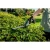76920-5.webp