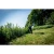 76967-1.webp