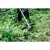 76967-3.webp