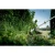 76967-5.webp