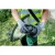76967-10.webp