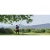 106036-8.webp