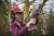 105963-3.webp
