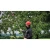 105893-6.webp