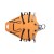 DX021.jpg